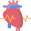 Cardiology